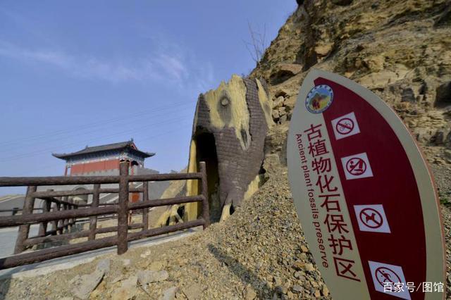 禹州有个公园不简单,拥有2.5亿年植物化石,全国唯一古植物公园 禹州有个公园不简单,拥有2.5亿年植物化石,全国唯一古植物公园