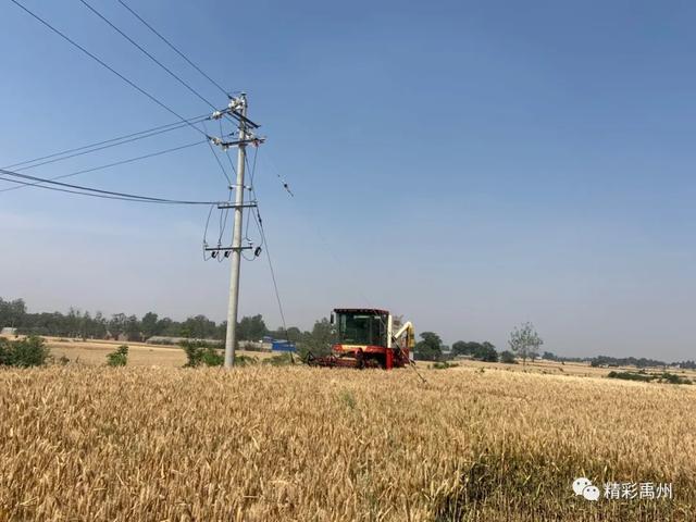 禹州市长范晓东调研三夏生产及秸秆禁烧工作 禹州市长范晓东调研三夏生产及秸秆禁烧工作
