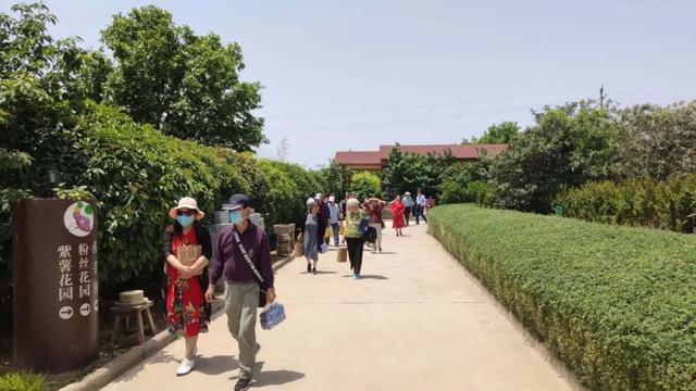 观光工厂催热禹州旅游,一根粉条的文旅融合创新路! 观光工厂催热禹州旅游,一根粉条的文旅融合创新路!