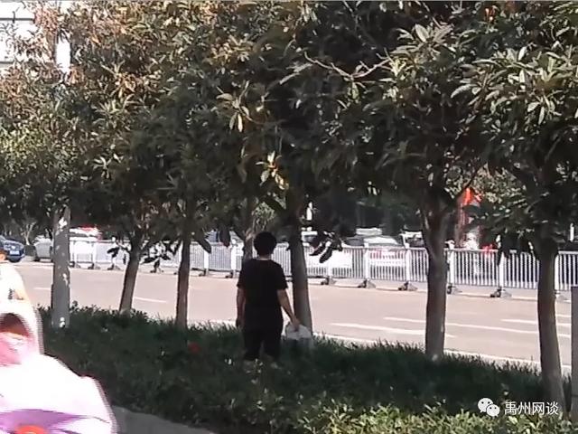 最近禹州市区多条道路旁和公园一幕让人着急:这是绝版风景线啊 最近禹州市区多条道路旁和公园一幕让人着急:这是绝版风景线啊