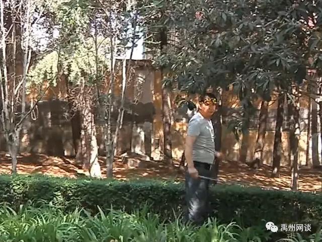 最近禹州市区多条道路旁和公园一幕让人着急:这是绝版风景线啊 最近禹州市区多条道路旁和公园一幕让人着急:这是绝版风景线啊