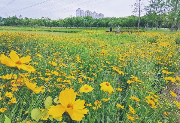5月27日禹州这些乡镇、街道办被公开约谈! 5月27日禹州这些乡镇、街道办被公开约谈!