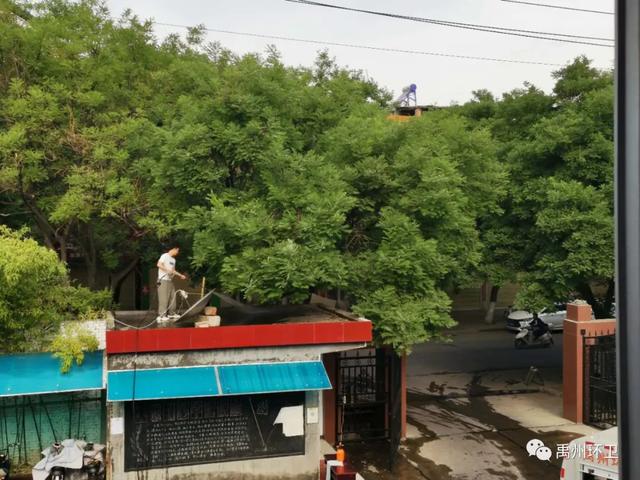 禹州环卫:扎实开展周五清洁行动 不走过场重点清洁城市环境 禹州环卫:扎实开展周五清洁行动 不走过场重点清洁城市环境