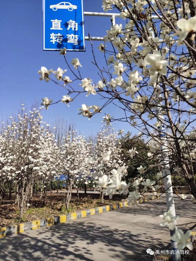 禹州启通驾校关于调整夏季训练时间的通知! 禹州启通驾校关于调整夏季训练时间的通知!