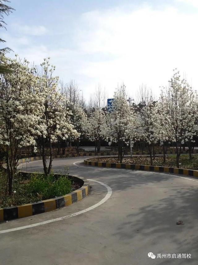 禹州启通驾校关于调整夏季训练时间的通知! 禹州启通驾校关于调整夏季训练时间的通知!