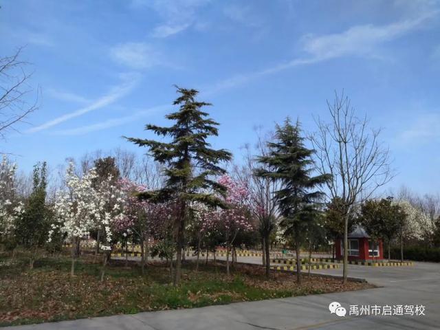 禹州启通驾校关于调整夏季训练时间的通知! 禹州启通驾校关于调整夏季训练时间的通知!