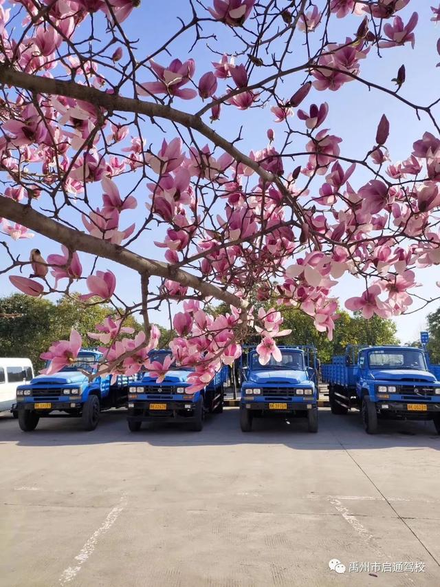禹州启通驾校关于调整夏季训练时间的通知! 禹州启通驾校关于调整夏季训练时间的通知!