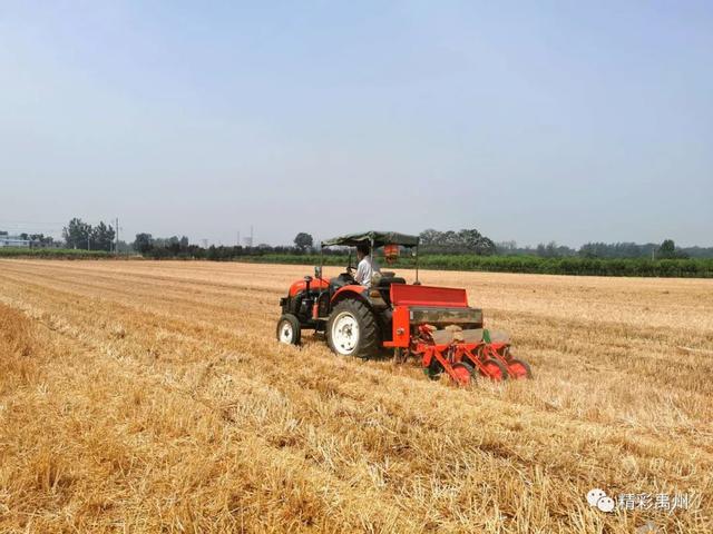 午收夏种、秸秆禁烧,禹州田间地头一片繁忙! 午收夏种、秸秆禁烧,禹州田间地头一片繁忙!