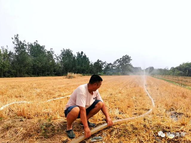 午收夏种、秸秆禁烧,禹州田间地头一片繁忙! 午收夏种、秸秆禁烧,禹州田间地头一片繁忙!