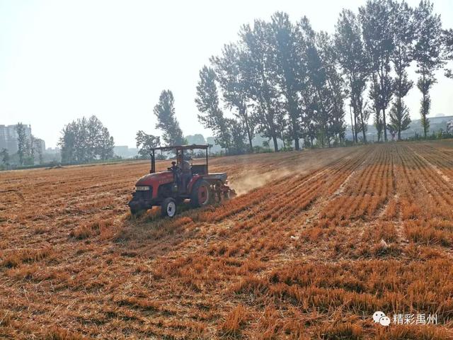 午收夏种、秸秆禁烧,禹州田间地头一片繁忙! 午收夏种、秸秆禁烧,禹州田间地头一片繁忙!