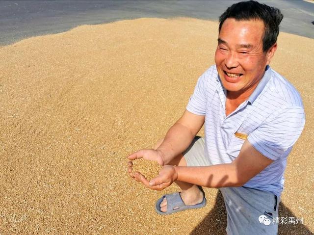 午收夏种、秸秆禁烧,禹州田间地头一片繁忙! 午收夏种、秸秆禁烧,禹州田间地头一片繁忙!