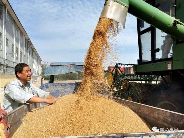 午收夏种、秸秆禁烧,禹州田间地头一片繁忙! 午收夏种、秸秆禁烧,禹州田间地头一片繁忙!