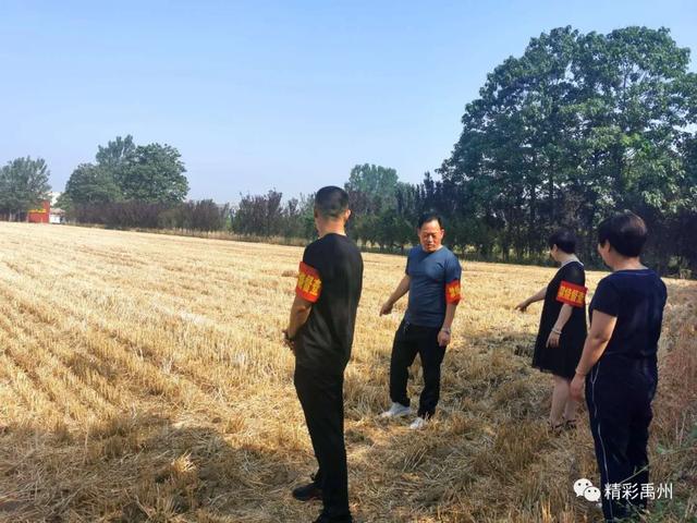 午收夏种、秸秆禁烧,禹州田间地头一片繁忙! 午收夏种、秸秆禁烧,禹州田间地头一片繁忙!