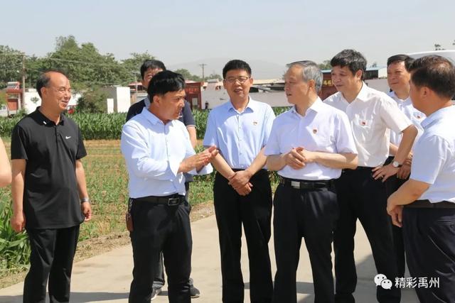 许昌市委书记胡五岳调研禹州“三夏”生产和防汛工作 许昌市委书记胡五岳调研禹州“三夏”生产和防汛工作