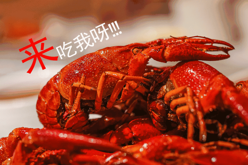 禹州宏基雅苑摇滚狂欢夜 啤酒龙虾烧烤节即将开启! 禹州宏基雅苑摇滚狂欢夜 啤酒龙虾烧烤节即将开启!