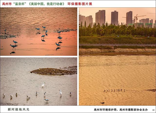 禹州市开展“六.五”世界环境日 主题宣传活动 禹州市开展“六.五”世界环境日 主题宣传活动