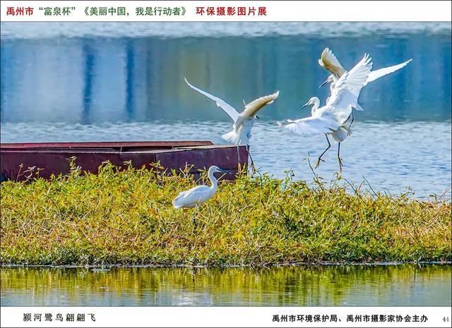 禹州市开展“六.五”世界环境日 主题宣传活动 禹州市开展“六.五”世界环境日 主题宣传活动