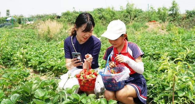 禹州市朱阁镇邵楼村:产业振兴富山民 禹州市朱阁镇邵楼村:产业振兴富山民