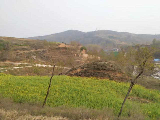 访禹州卢照邻墓 访禹州卢照邻墓