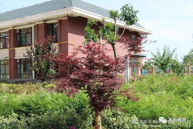 禹州市市直第六幼儿园秋季招生开始啦! 禹州市市直第六幼儿园秋季招生开始啦!