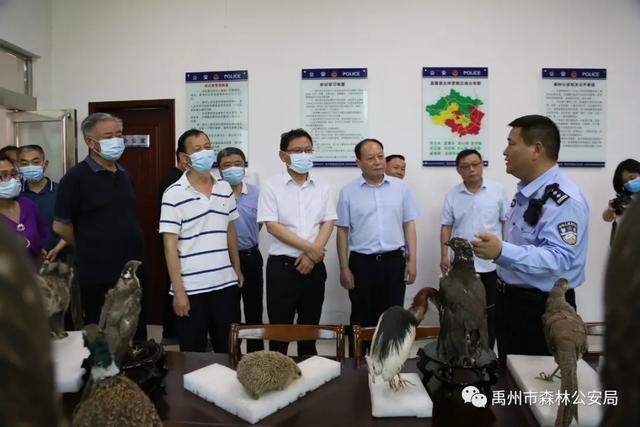 许昌市人大常委副秘书长刘宝君莅临禹州森林公安局检查指导工作 许昌市人大常委副秘书长刘宝君莅临禹州森林公安局检查指导工作