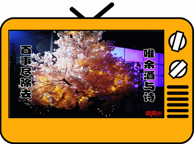 禹州这家店重磅升级!我嗨到凌晨2点不想回家! 禹州这家店重磅升级!我嗨到凌晨2点不想回家!