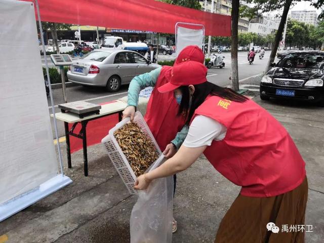 禹州环卫:雨后大清洁 城市展新颜 禹州环卫:雨后大清洁 城市展新颜