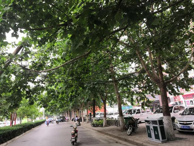 禹州滨河路府东路交叉口一电线杆倾斜,骑车经过的大姐被电缆绊倒! 禹州滨河路府东路交叉口一电线杆倾斜,骑车经过的大姐被电缆绊倒!