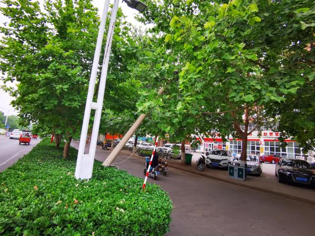 禹州滨河路府东路交叉口一电线杆倾斜,骑车经过的大姐被电缆绊倒! 禹州滨河路府东路交叉口一电线杆倾斜,骑车经过的大姐被电缆绊倒!