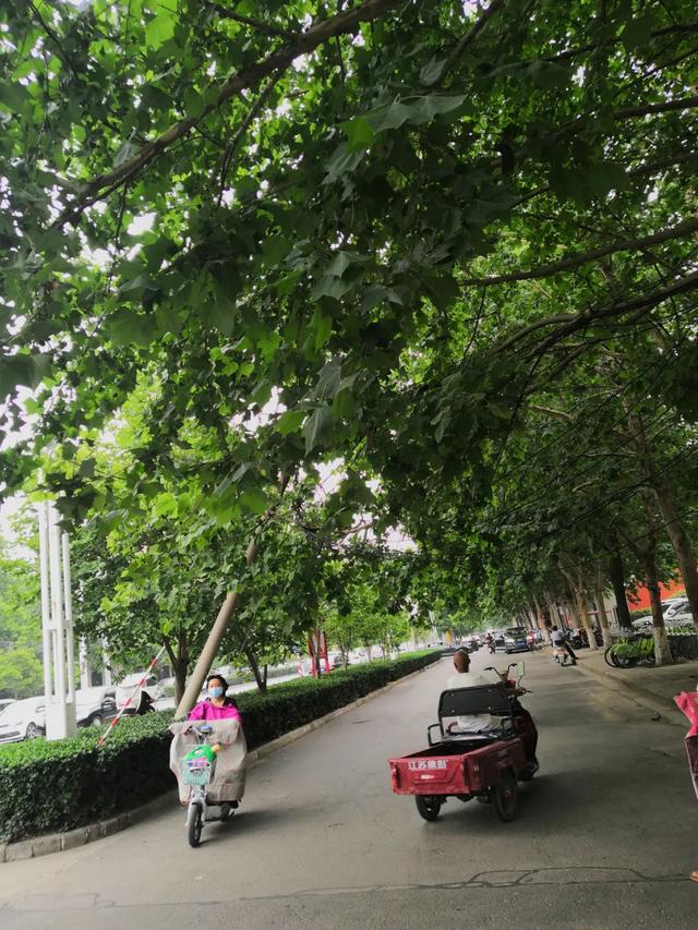 禹州滨河路府东路交叉口一电线杆倾斜,骑车经过的大姐被电缆绊倒! 禹州滨河路府东路交叉口一电线杆倾斜,骑车经过的大姐被电缆绊倒!