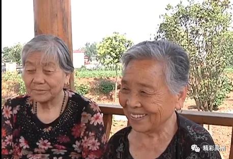 禹州出了个长寿村! 禹州出了个长寿村!