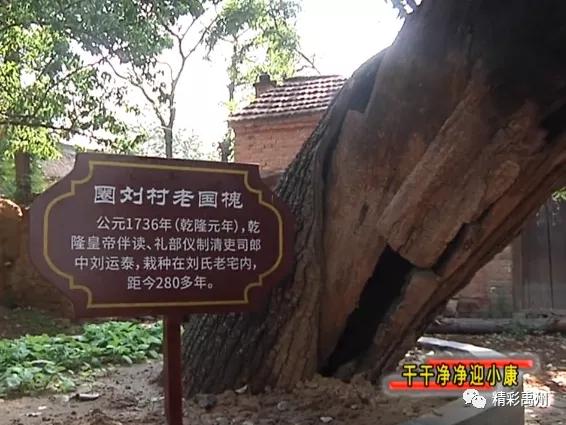 禹州出了个长寿村! 禹州出了个长寿村!