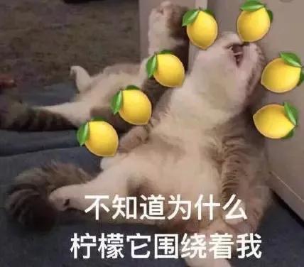 定了!禹州这些地方要被征收啦!又一大批人身价要涨! 定了!禹州这些地方要被征收啦!又一大批人身价要涨!