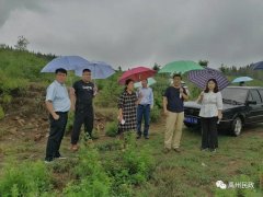 许昌市民政局对禹州市推进移风易俗倡树文明殡葬新风工作进行调研指导