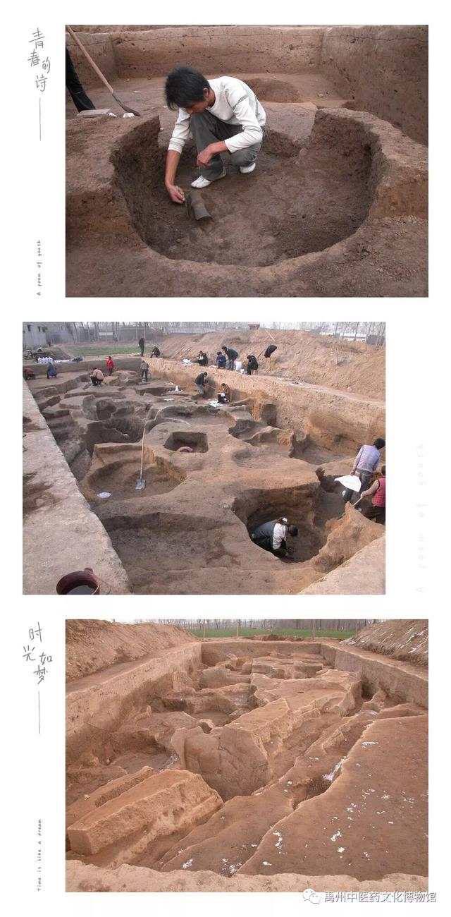 禹州瓦店遗址入围夏文化研究! 禹州瓦店遗址入围夏文化研究!