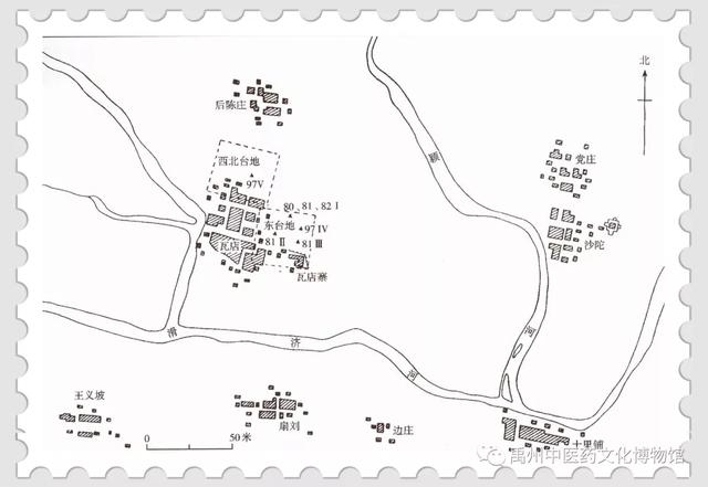 禹州瓦店遗址入围夏文化研究! 禹州瓦店遗址入围夏文化研究!