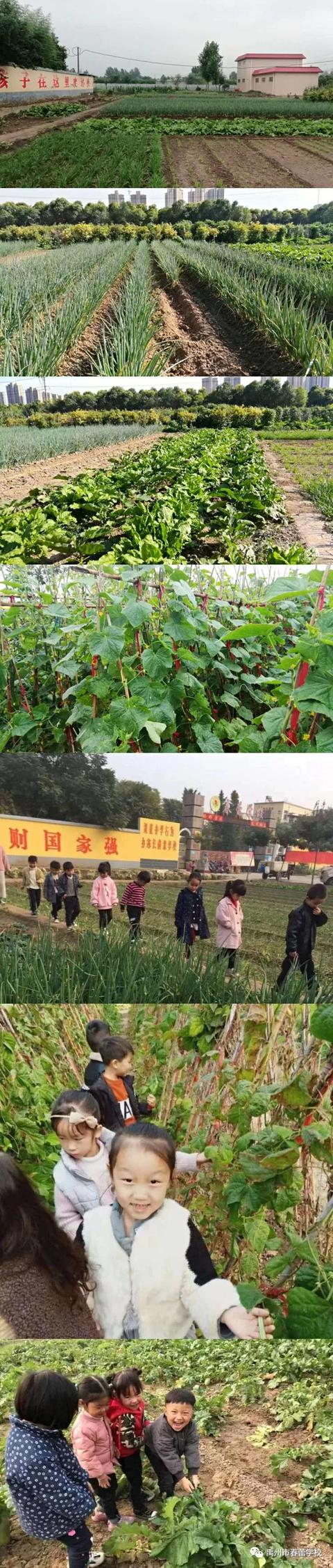 禹州市春蕾教育集团面向全市开始招生啦 禹州市春蕾教育集团面向全市开始招生啦