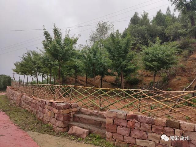 禹州市大涧村锦龙庄园户外帐篷节来啦! 禹州市大涧村锦龙庄园户外帐篷节来啦!