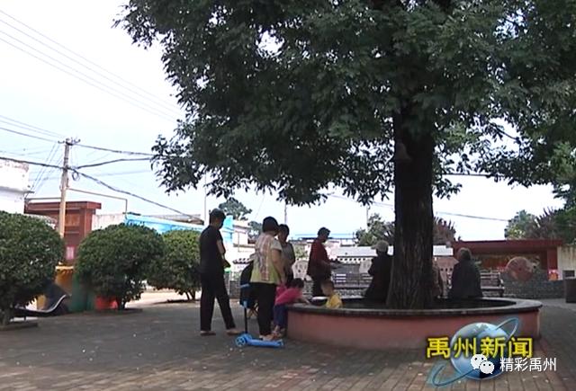 禹州这个村为改善人居环境,将“厕所革命”进行到底! 禹州这个村为改善人居环境,将“厕所革命”进行到底!