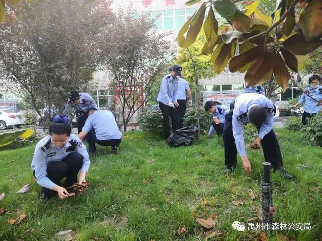 禹州市森林公安局开展端午节主题系列活动 禹州市森林公安局开展端午节主题系列活动