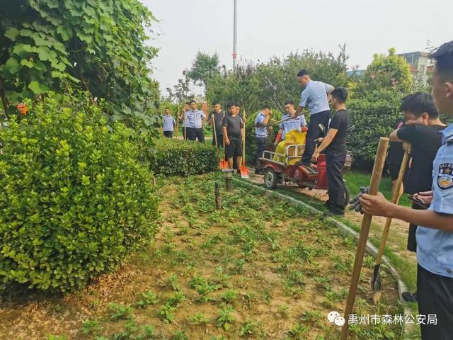 禹州市森林公安局开展端午节主题系列活动 禹州市森林公安局开展端午节主题系列活动