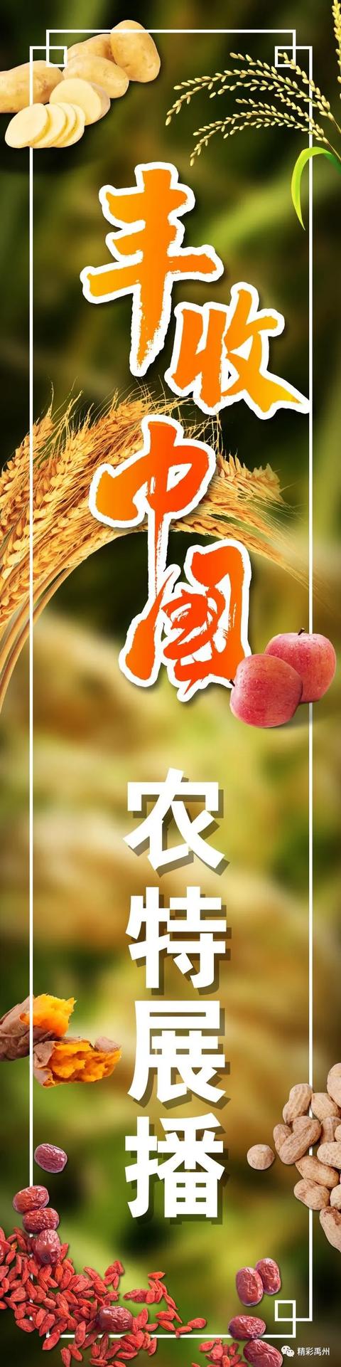 15秒!首都给予“药都”禹州的时间… 15秒!首都给予“药都”禹州的时间…