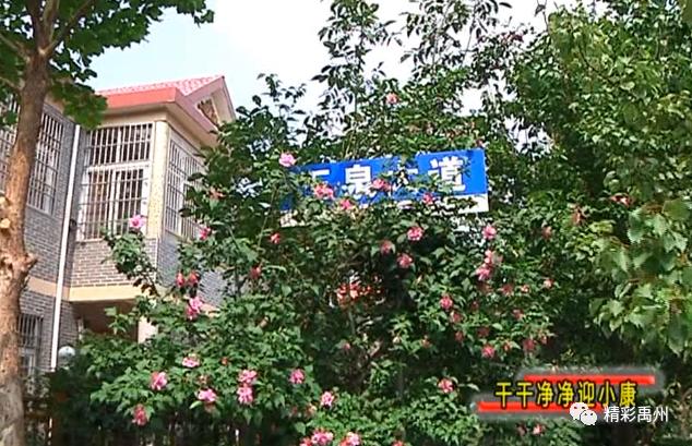 禹州磨街乡玉泉村“一池三改”以后 俺村一点不比城里差! 禹州磨街乡玉泉村“一池三改”以后 俺村一点不比城里差!