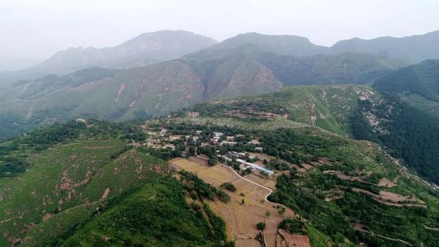 20年前禹州人是怎样割麦打麦的?满满都是回忆 20年前禹州人是怎样割麦打麦的?满满都是回忆