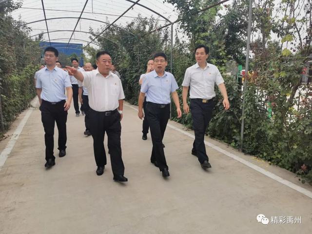 禹州市委书记黄河下基层观摩后强调了这些 禹州市委书记黄河下基层观摩后强调了这些