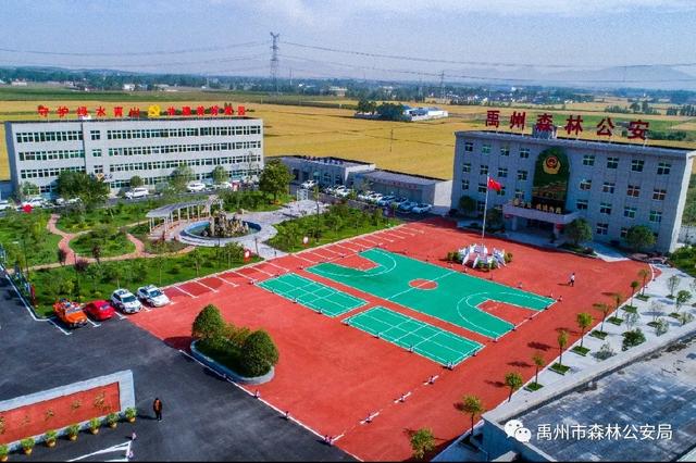 朝曦煦·晨行禹州市森林公安局院中 朝曦煦·晨行禹州市森林公安局院中