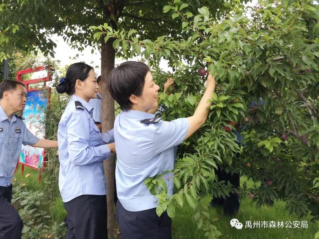 朝曦煦·晨行禹州市森林公安局院中 朝曦煦·晨行禹州市森林公安局院中