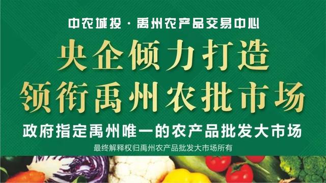 禹州中农城投·禹州农产品交易中心招商选铺落位隆重启动 禹州中农城投·禹州农产品交易中心招商选铺落位隆重启动