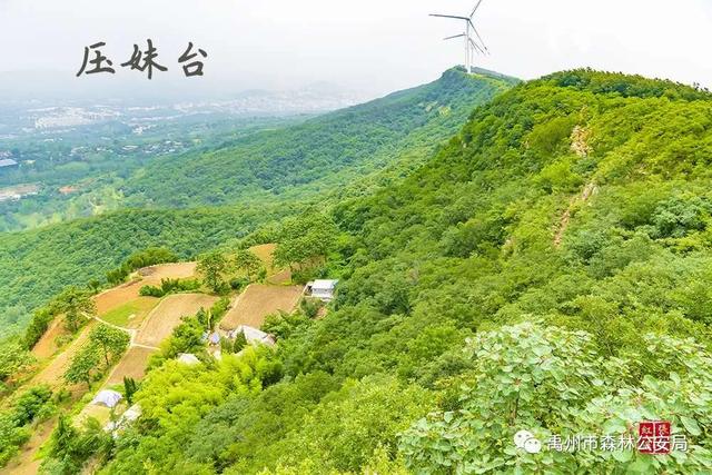 禹州警民合奏护林曲 大刘山上果飘香 禹州警民合奏护林曲 大刘山上果飘香