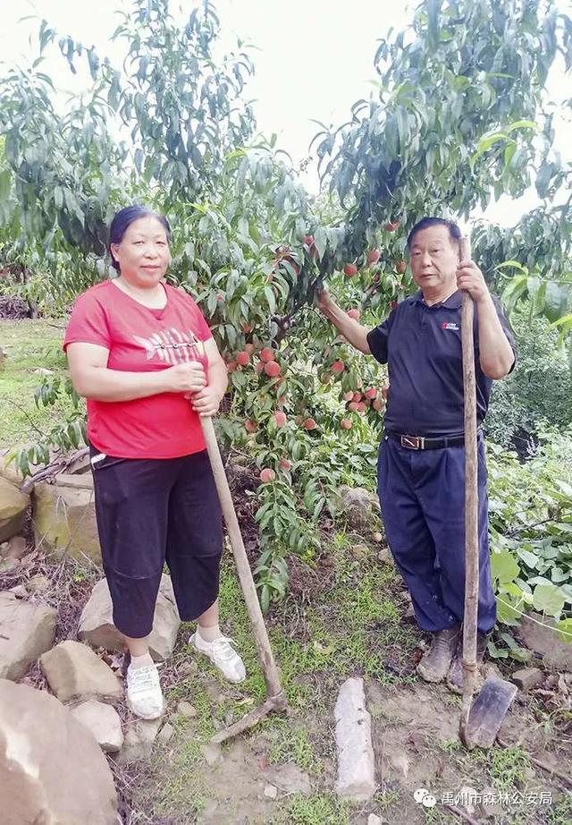 禹州警民合奏护林曲 大刘山上果飘香 禹州警民合奏护林曲 大刘山上果飘香